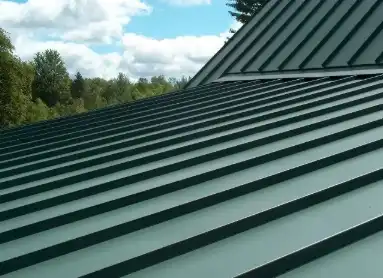 Snap Lock Standing Seam Roof