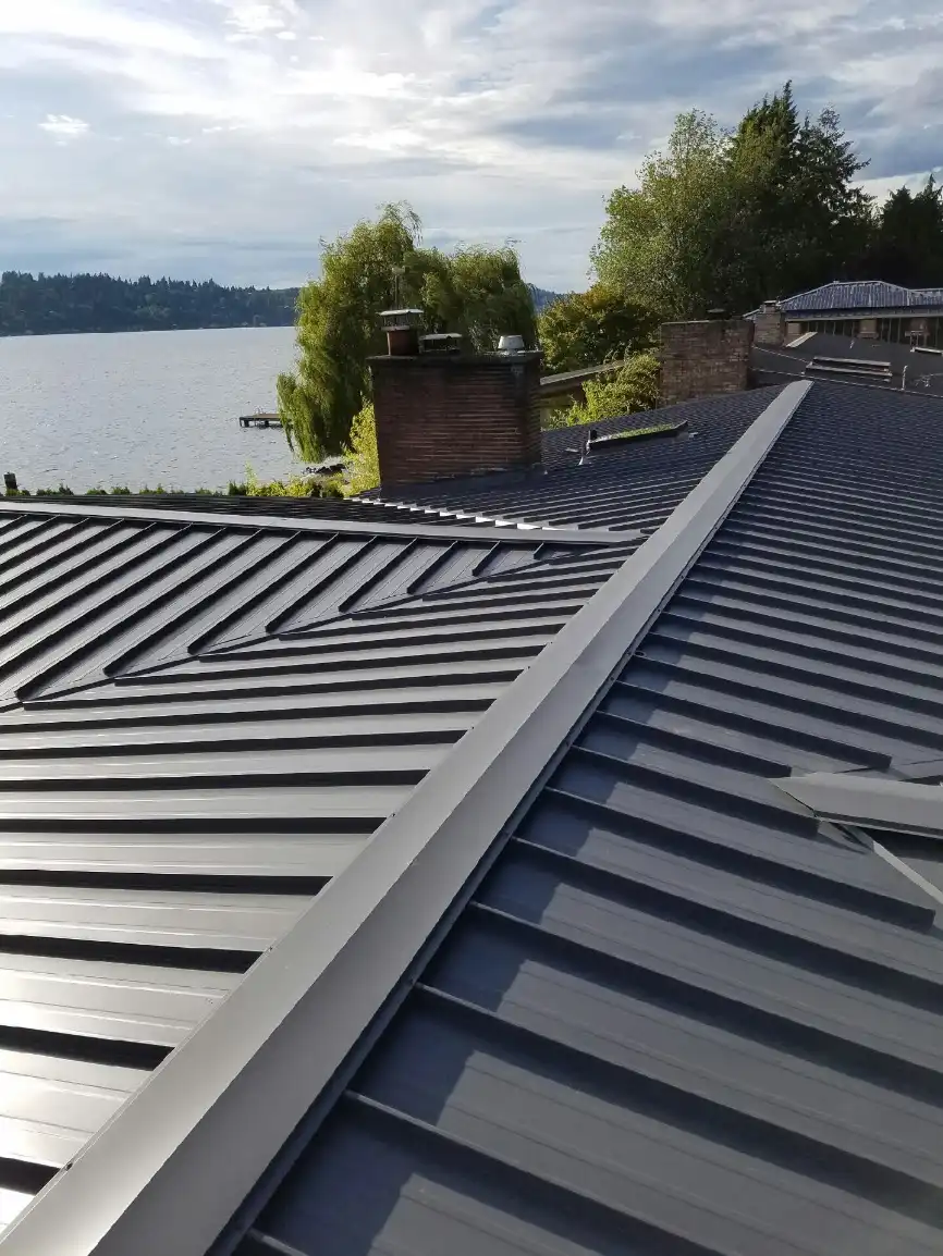 Black Metal Standing Seam Roof