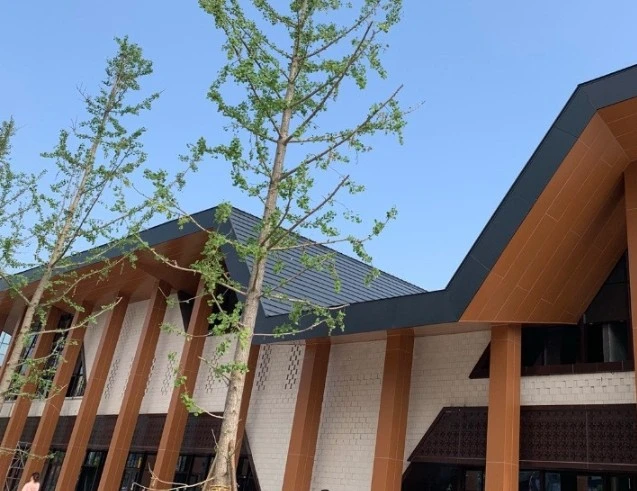 Snaplok roofing